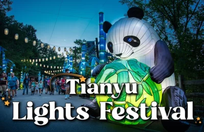 5 Best Places to See Christmas Lightingin Phoenix, Arizona 2025